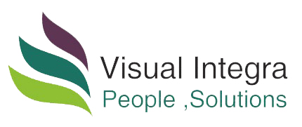 Visual Integra Logo